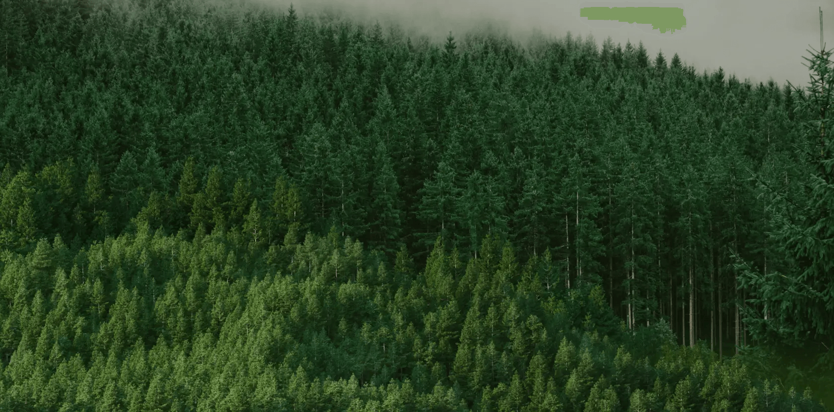 Ask for a sample now!