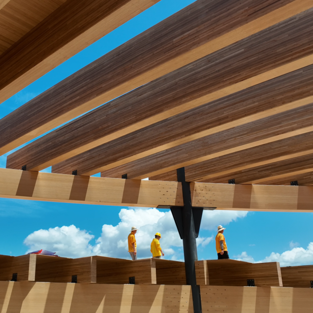 Experience Built Through Complex, Large-Scale Projects