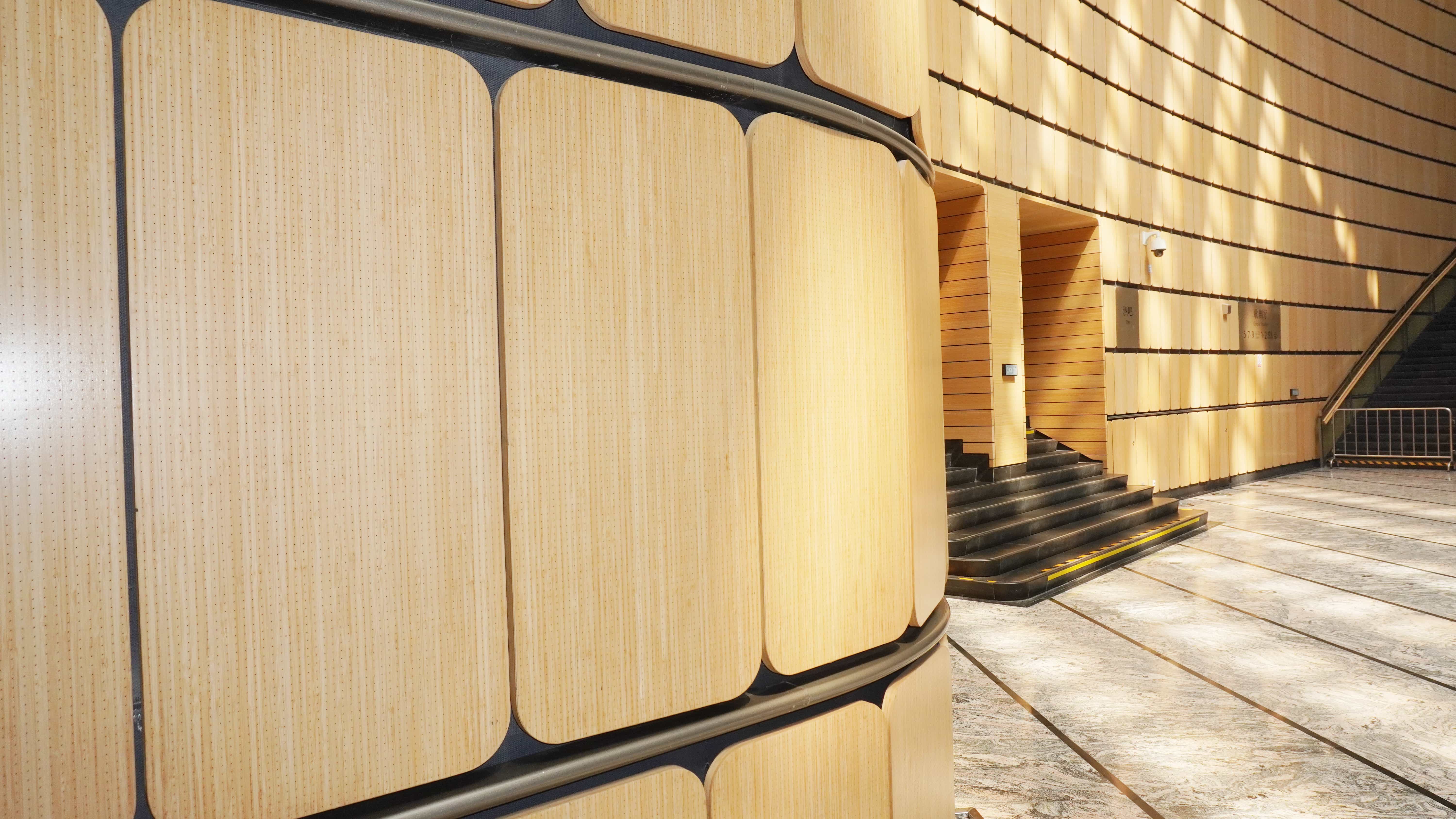 B-01 Shandong Grand Theatre (5)-1_compressed.jpg